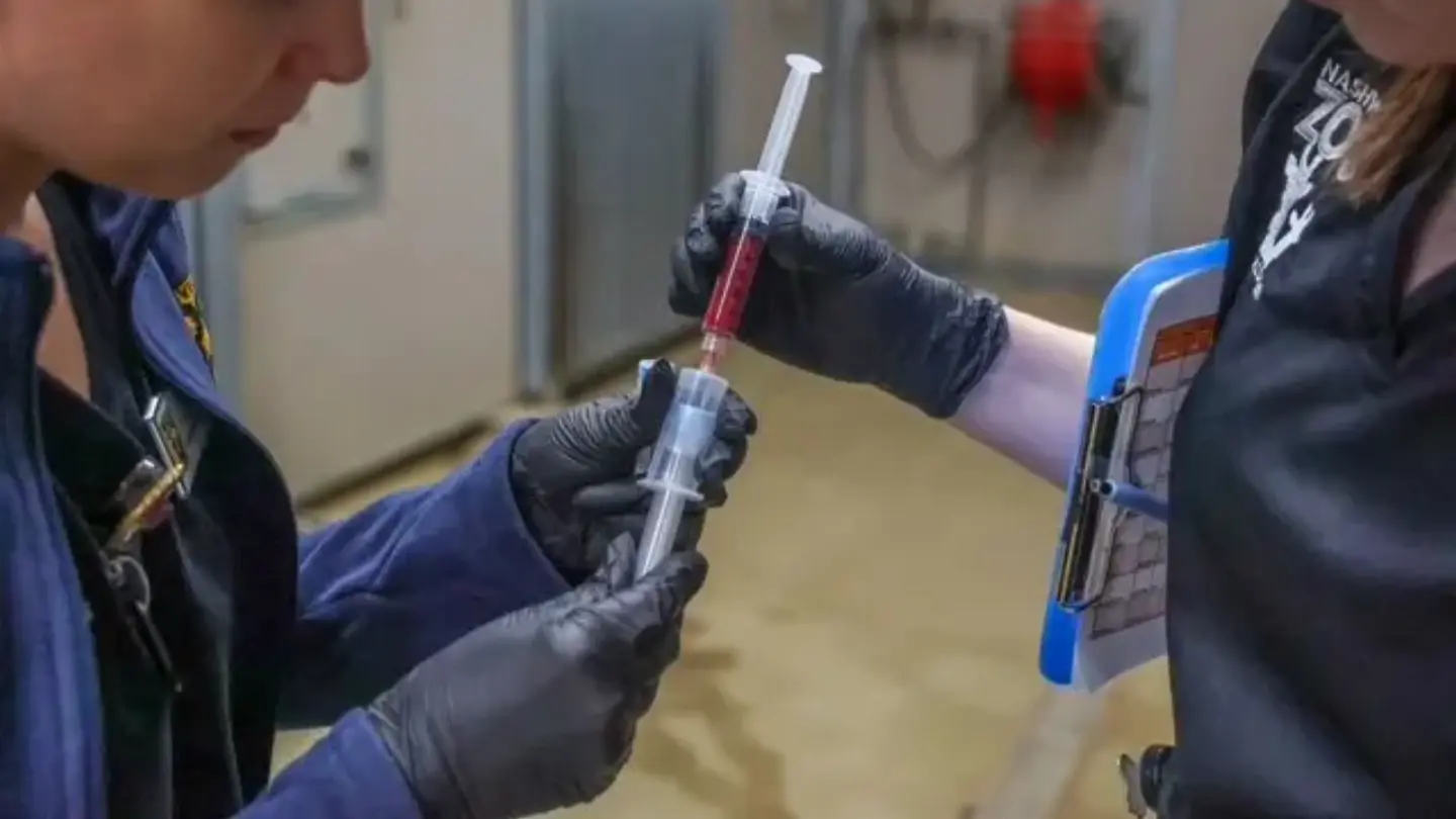 Nashville Zoo team holding blood samples