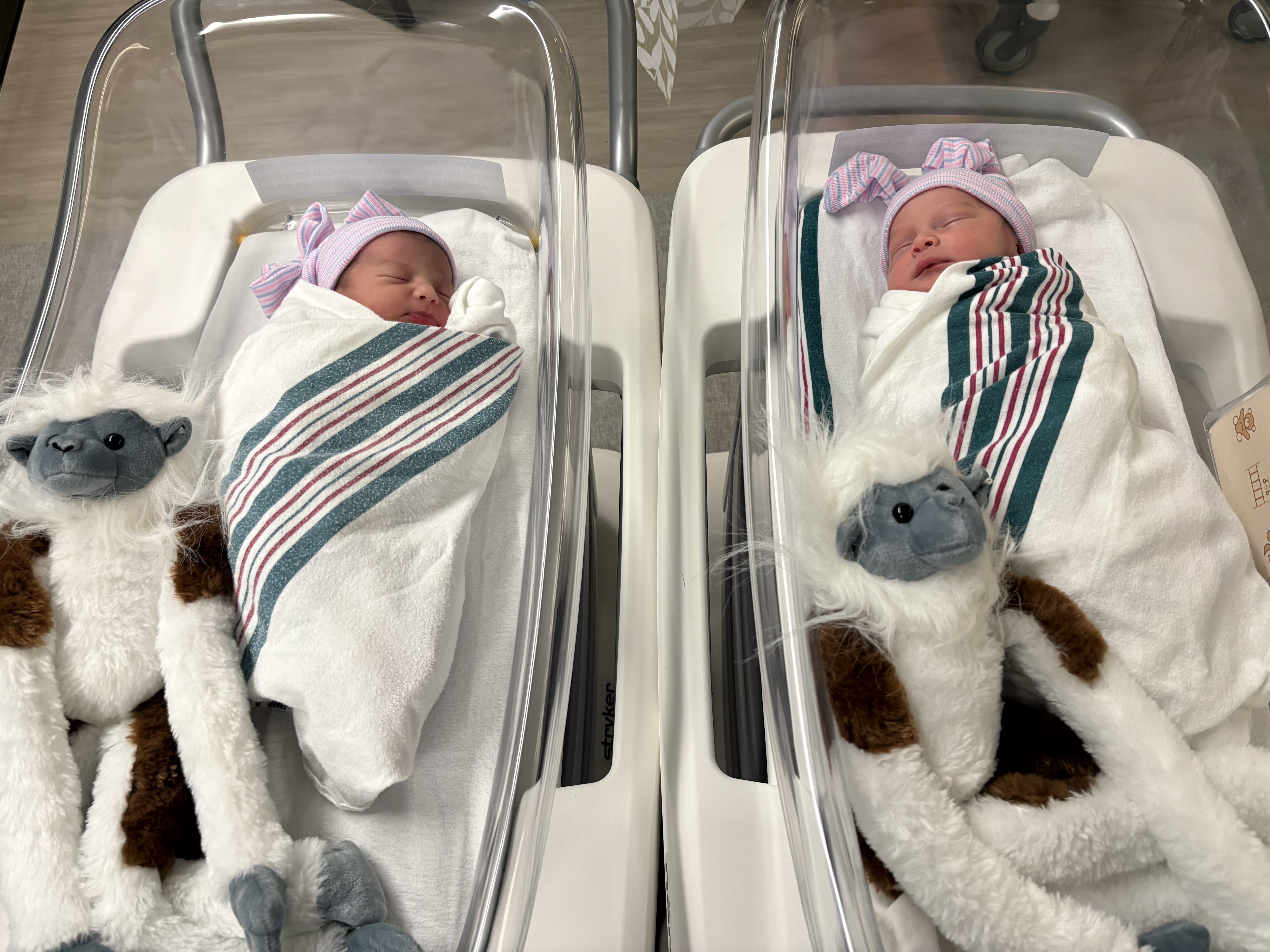 Twin newborn babies pose with cotton‑top tamarin twin plush toys, celebrating the birth of endangered tamarin twins at San Antonio Zoo.