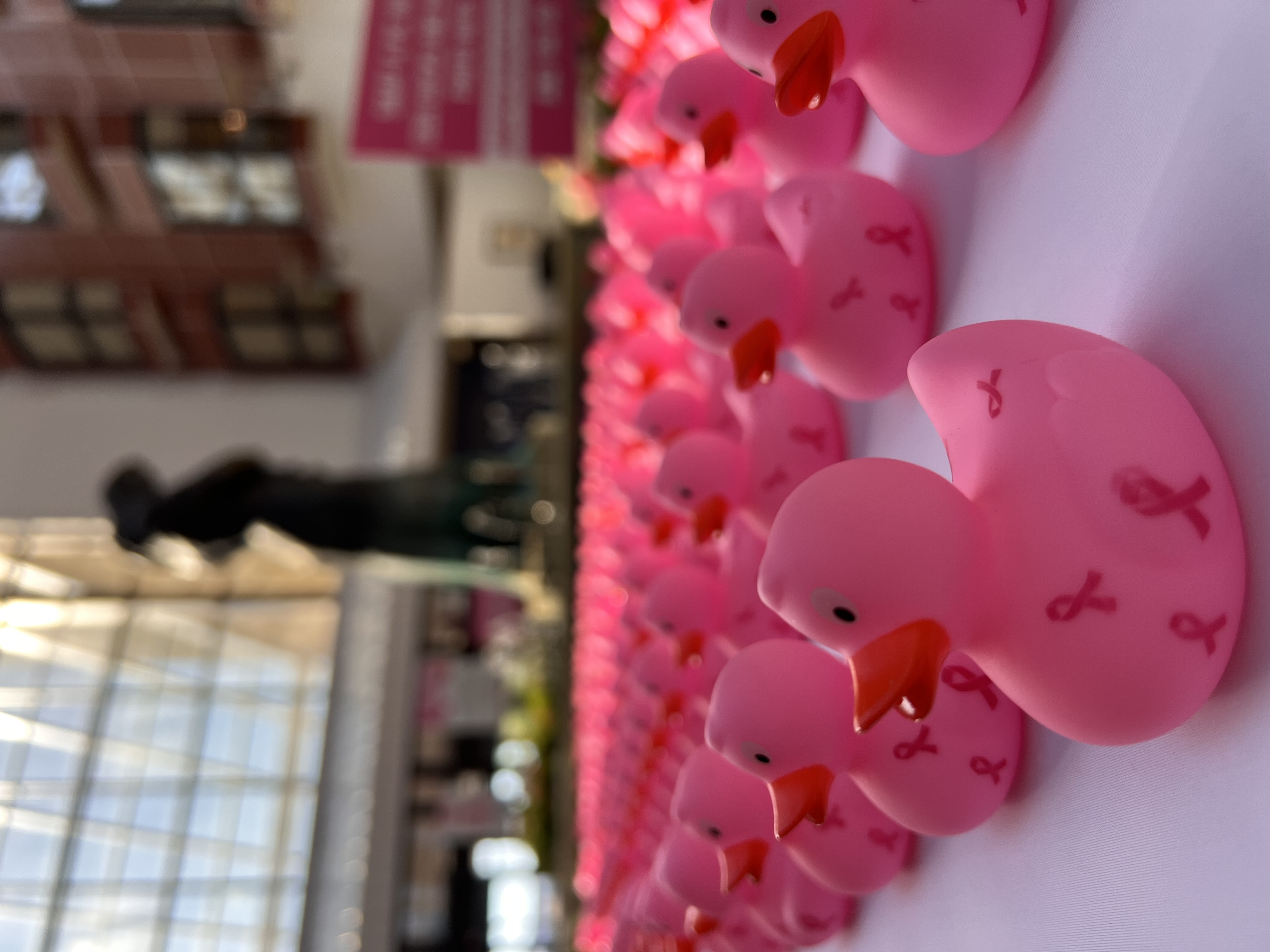 Pink rubber ducks are ready for deployment into the Rapides Women's and Children's Hospital atrium fountain as part of breast cancer awareness events.