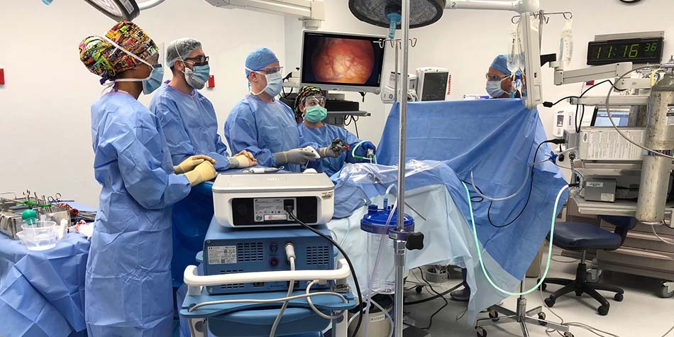 Five surgeons performing kidney transplant surgery.