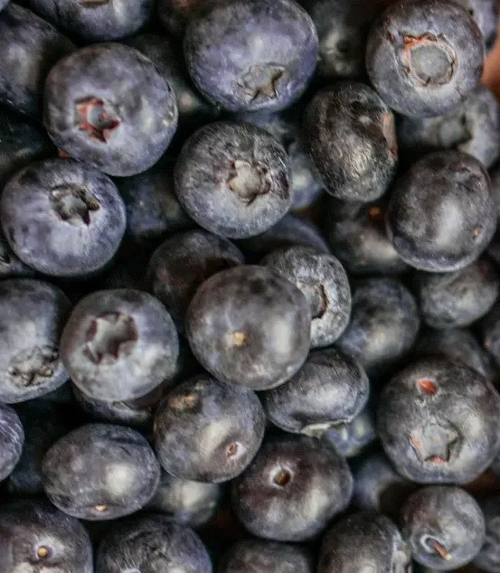 Close view of blueberries.