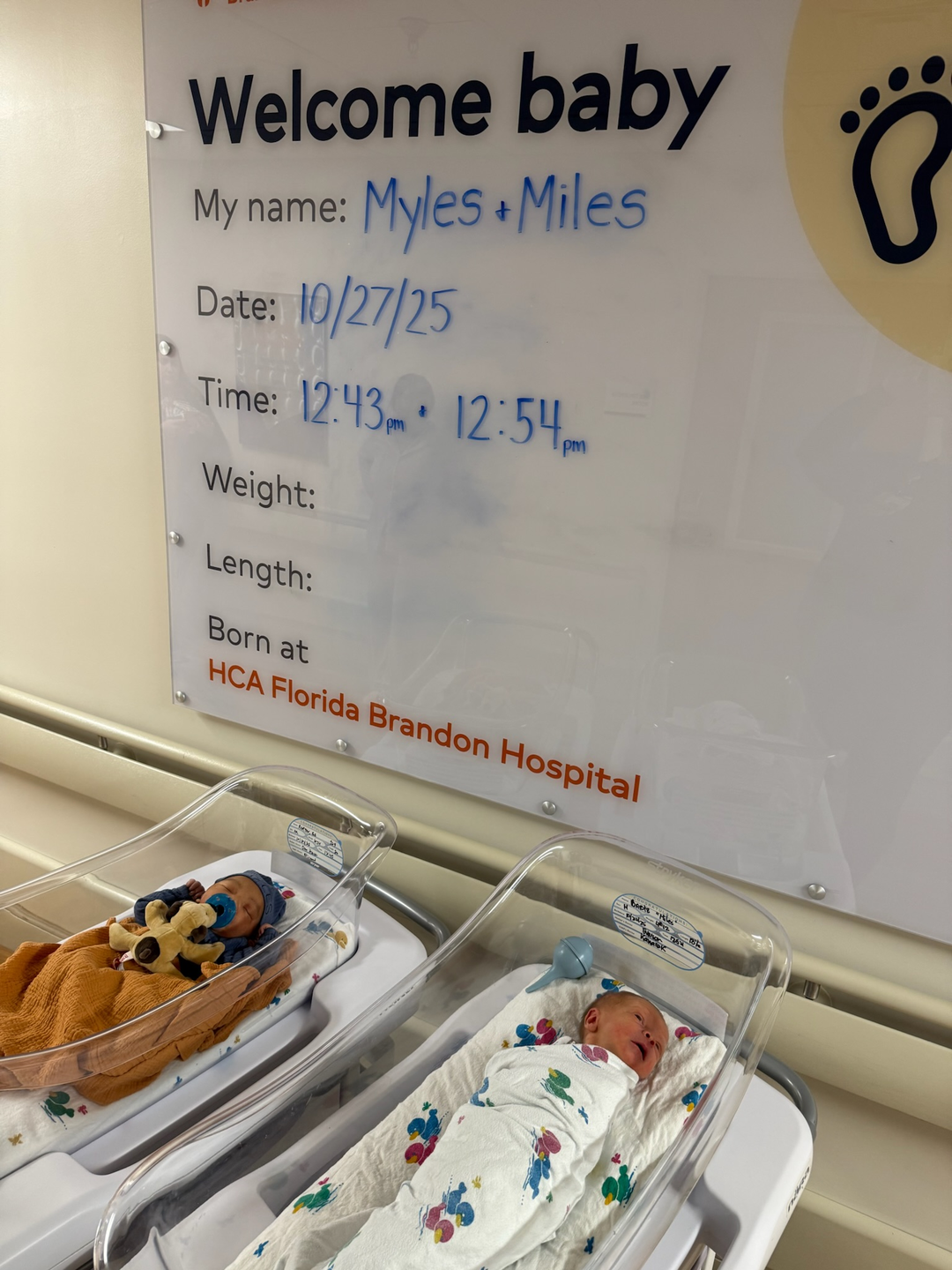 Newborn babies Myles and Miles.