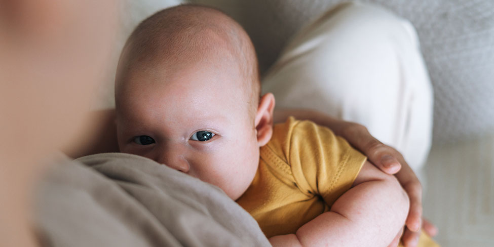 Infant breastfeeding on woman's lap
