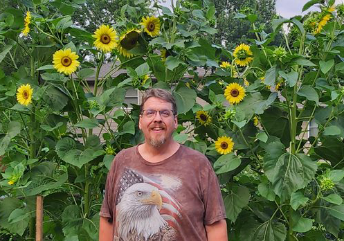 Brian in his sunflower garden.