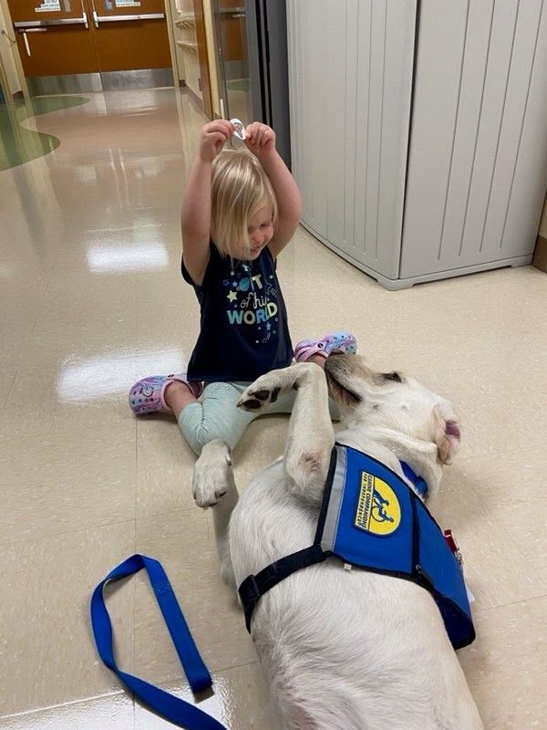 Posey the dog and young toddler play on the floor