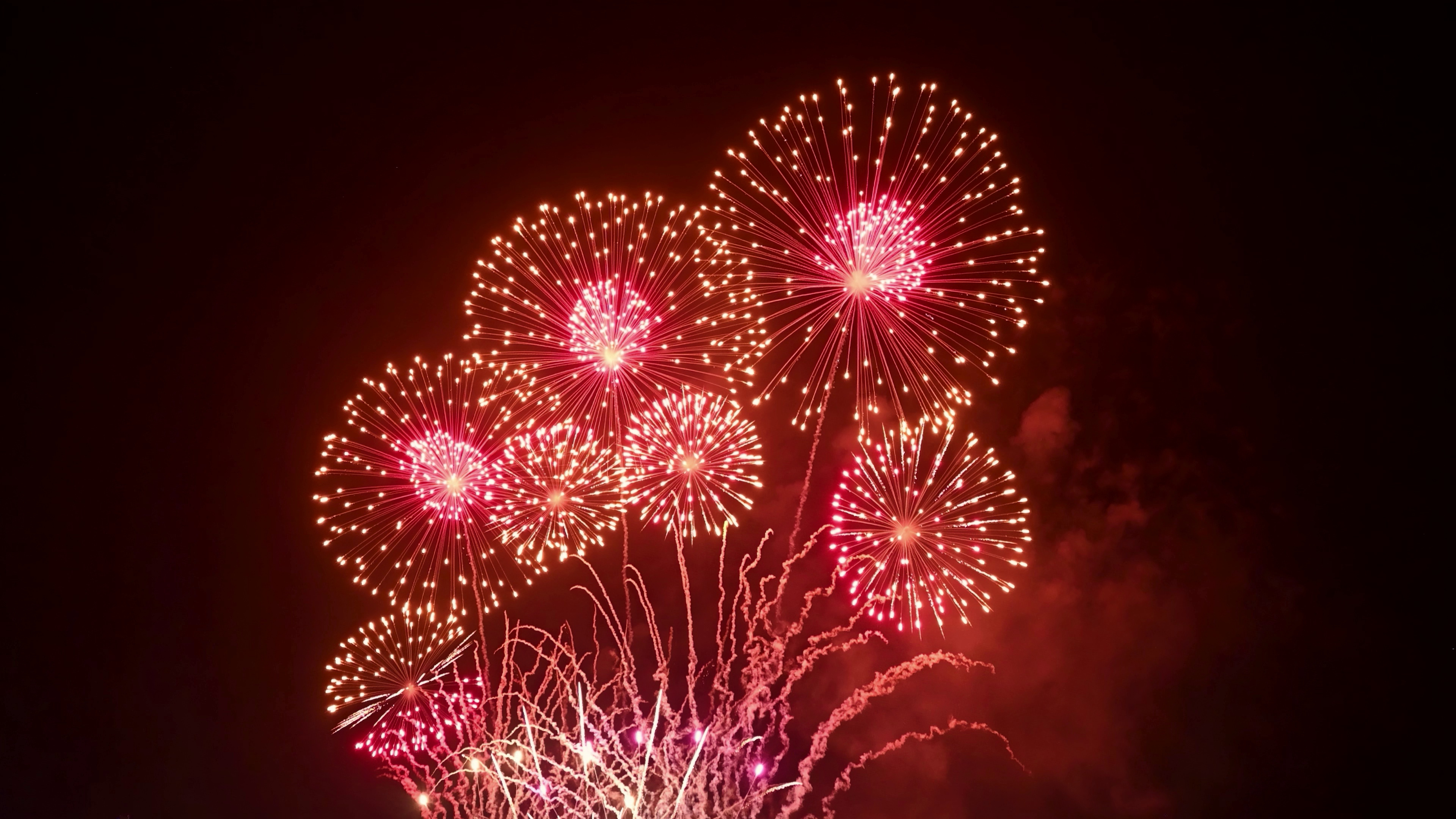 Red fireworks exploding in a dark night sky