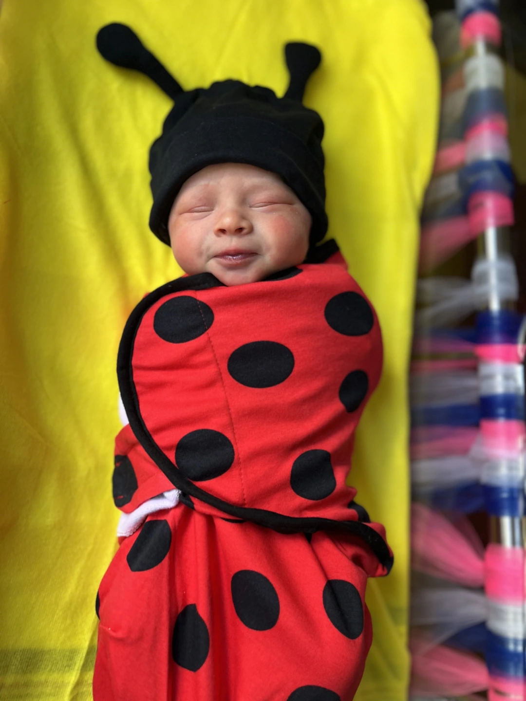 a baby dressed like a ladybug