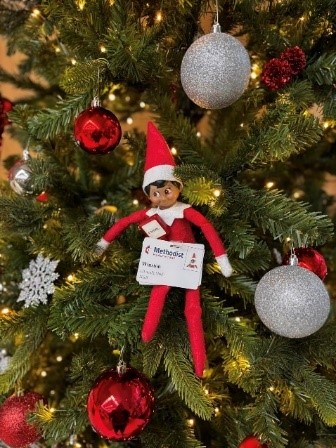 Winston the Elf decorating the hospital's Christmas tree.