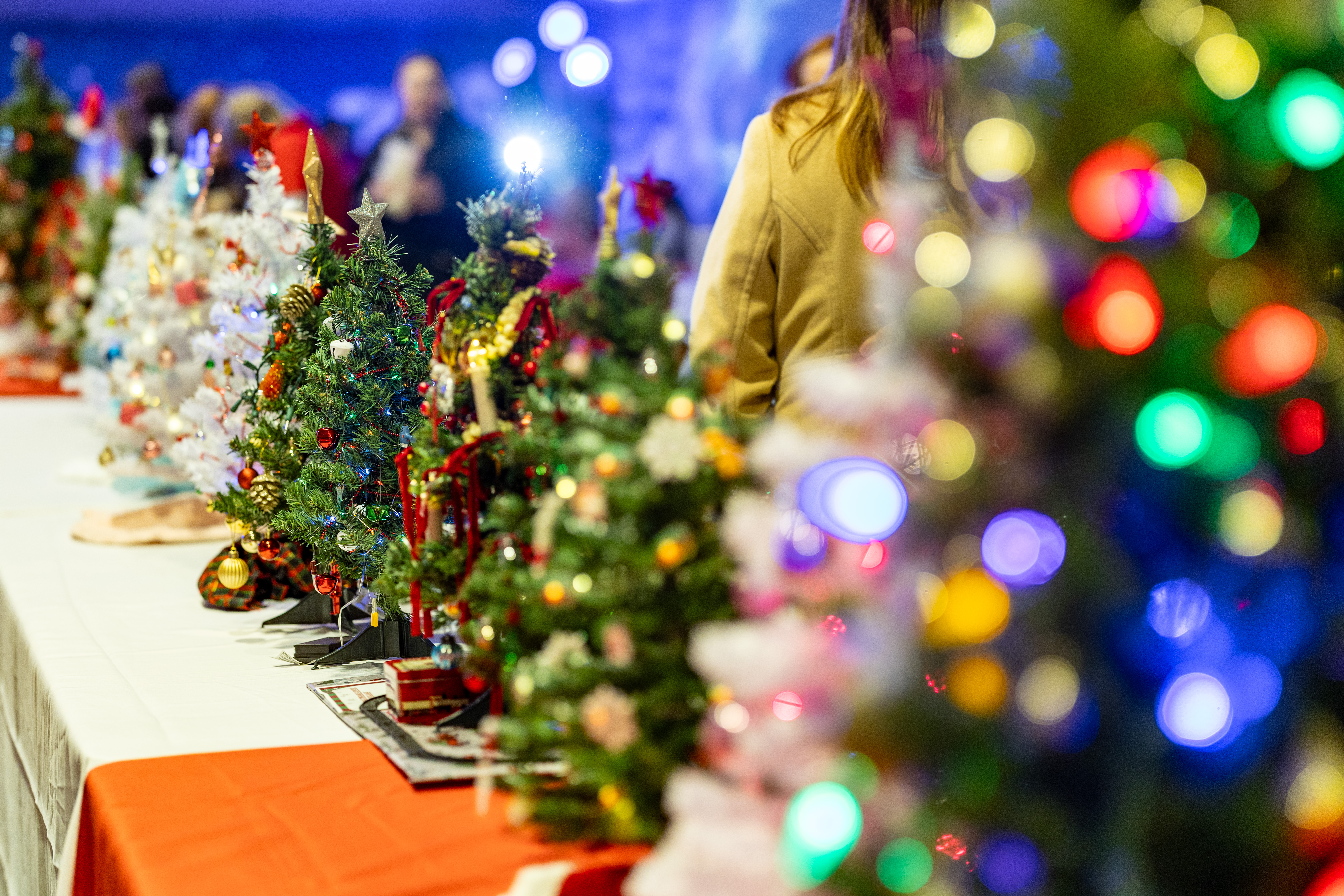 DIsplay of many various small, decorated christmas trees on a long table.