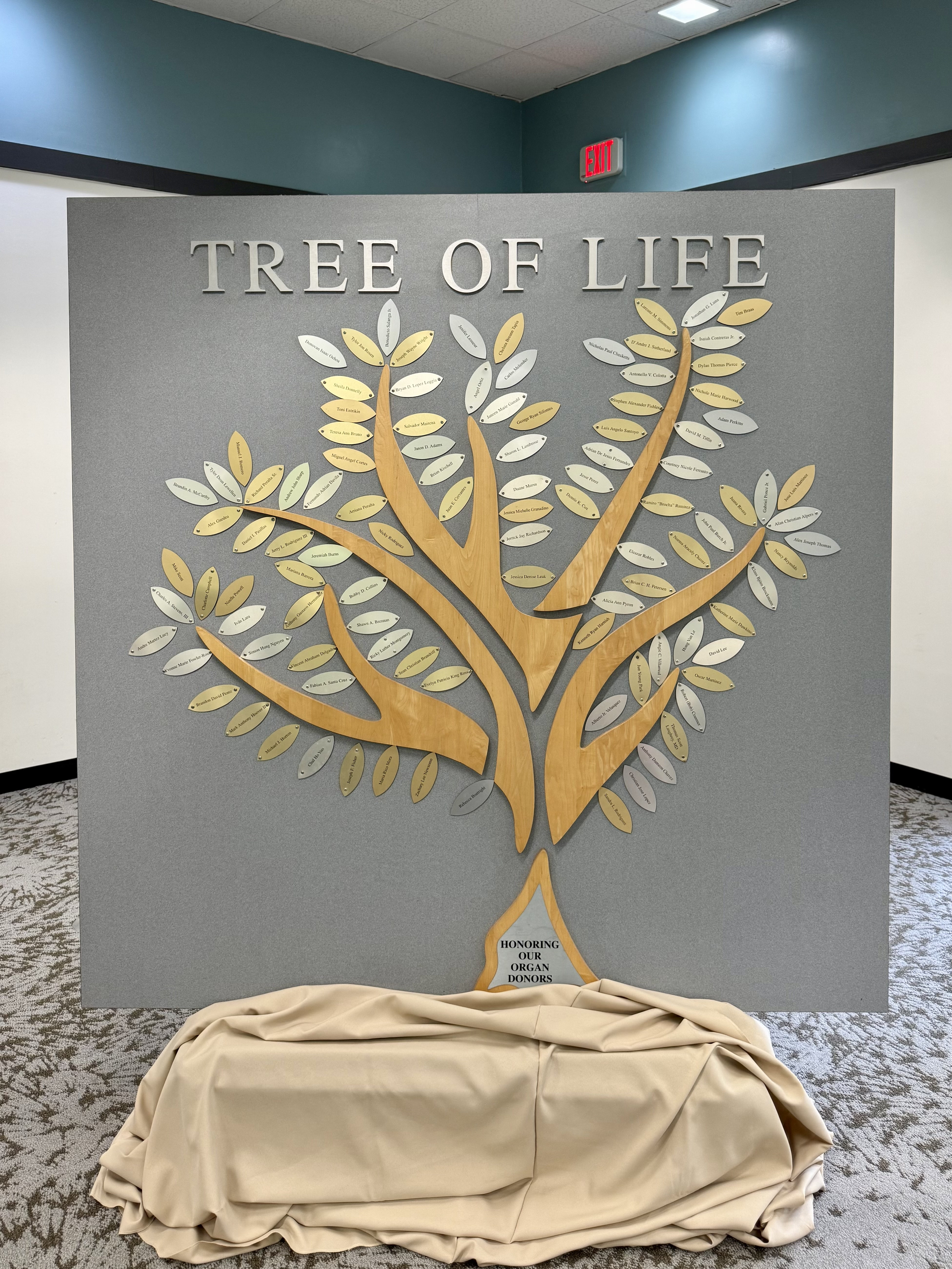 The tree of life is a large plaque that has the names of organ donors on the leaves.