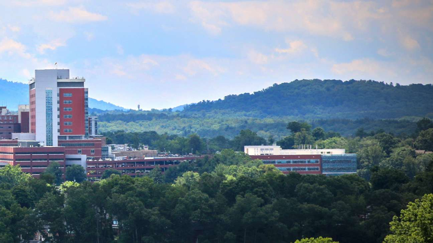 Exterior view of Mission Hospital showing the tops of the campus buildings above the tree line.