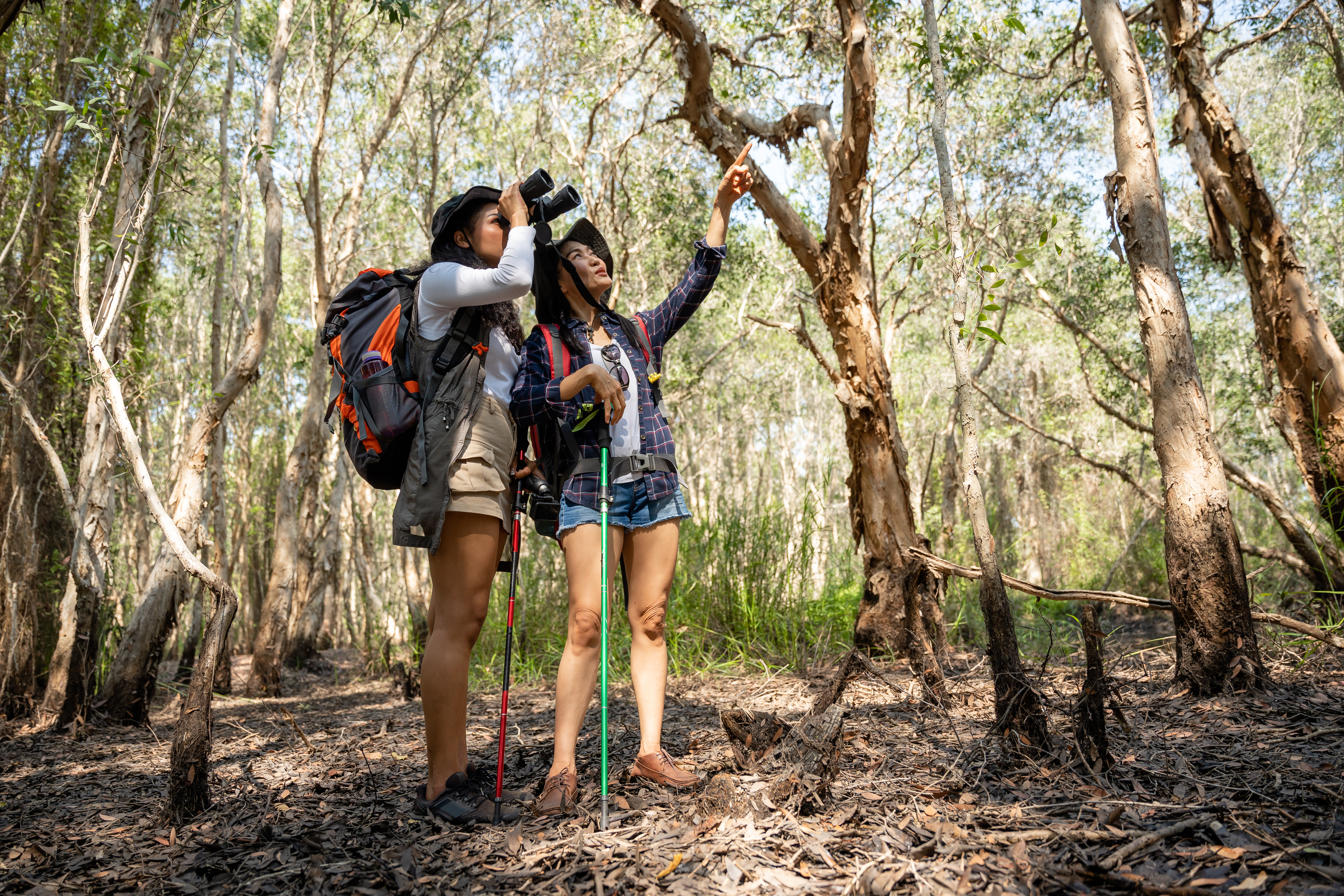 Two women using binoculars to bird watch while hiking in a forest.