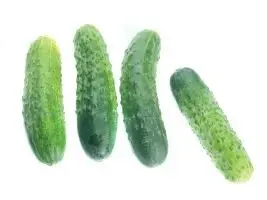 Four cucumbers that each have gradient colors from dark green to light green.