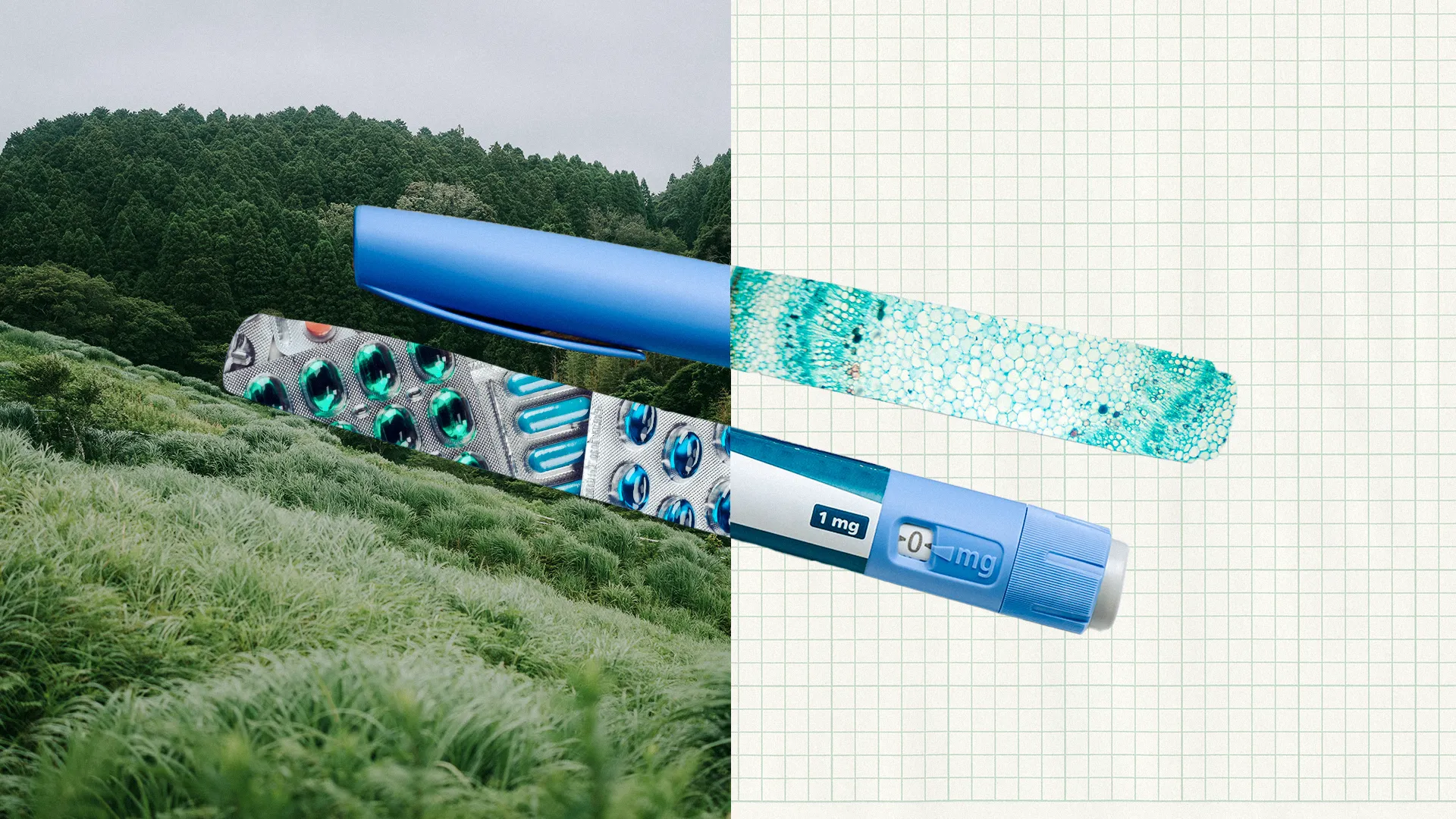 Collage of GLP-1 injection pin