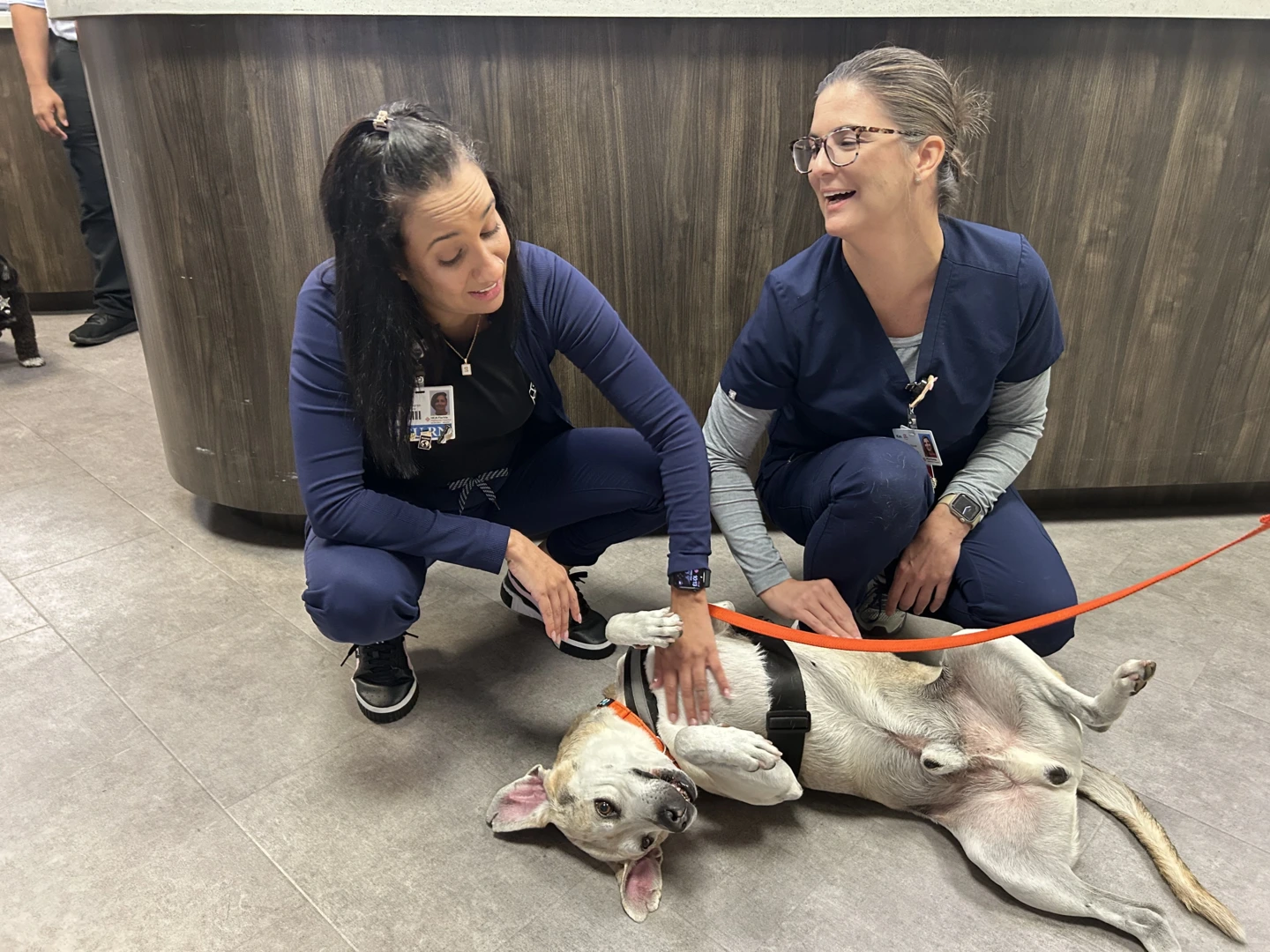Two ICU nurses petting a therapy dog.