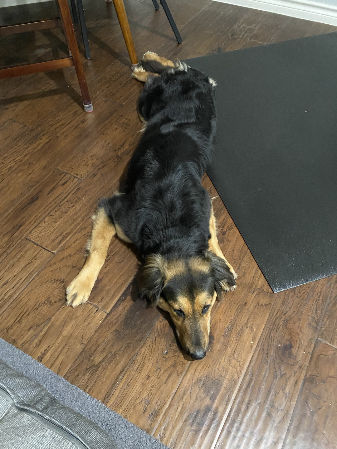 Raya the hero who saved Amita Rama's life.