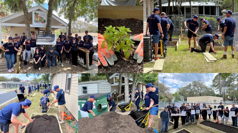 Collage showing about 30 people constructing garden lots, filling them with soil and posing for a photo holding We Show Up for St. Johns Food Pantry signs.