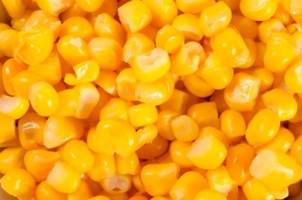 Yellow corn kernels.