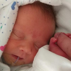 Baby Florine Schutzman in the NICU, gripping her parent's finger..