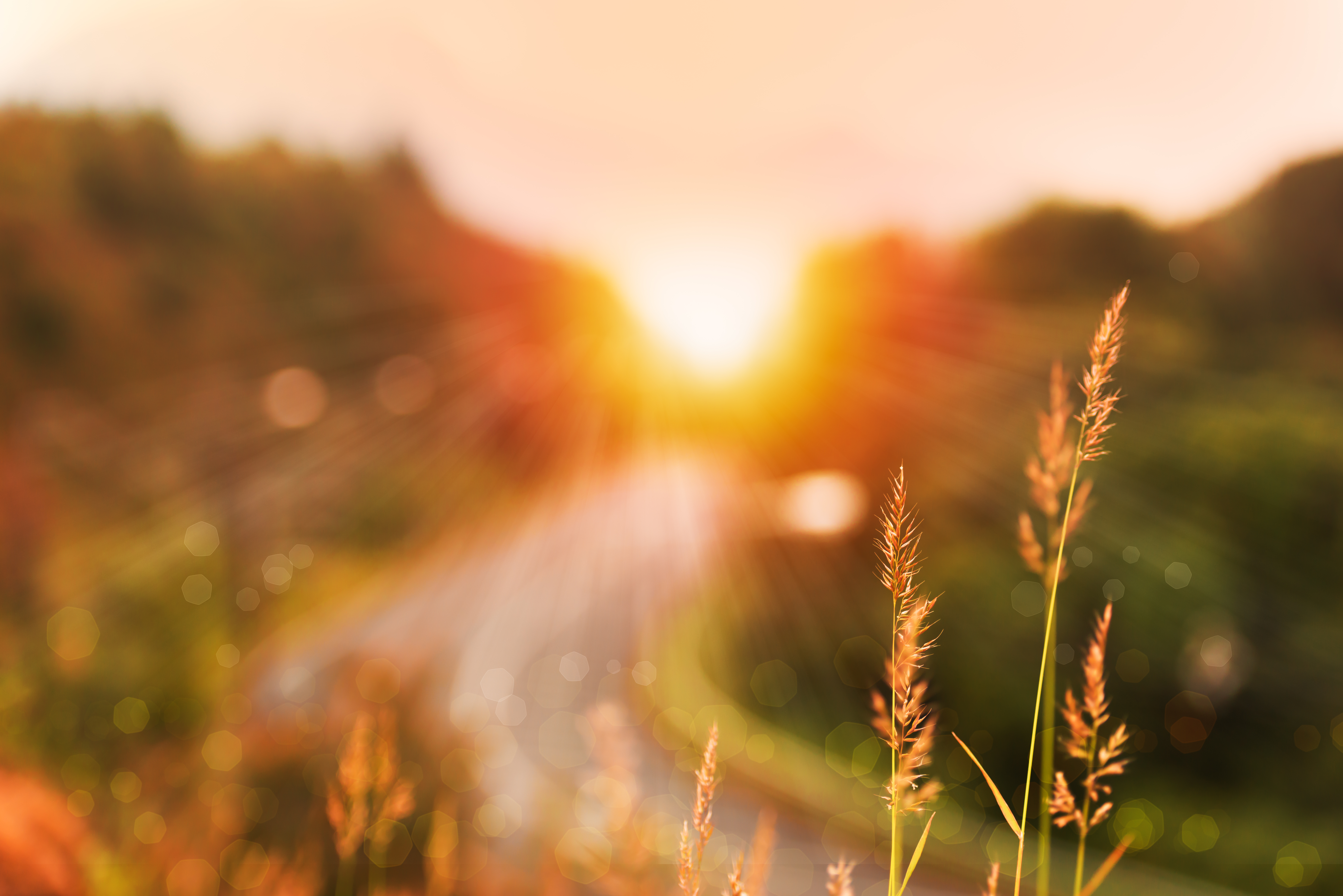 Beautiful sunrise landscape on high mountain road