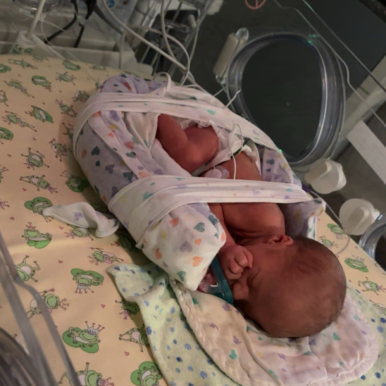 Luna in NICU crib.