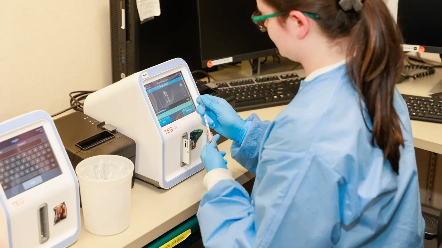 Testing a blood sample from an anteater