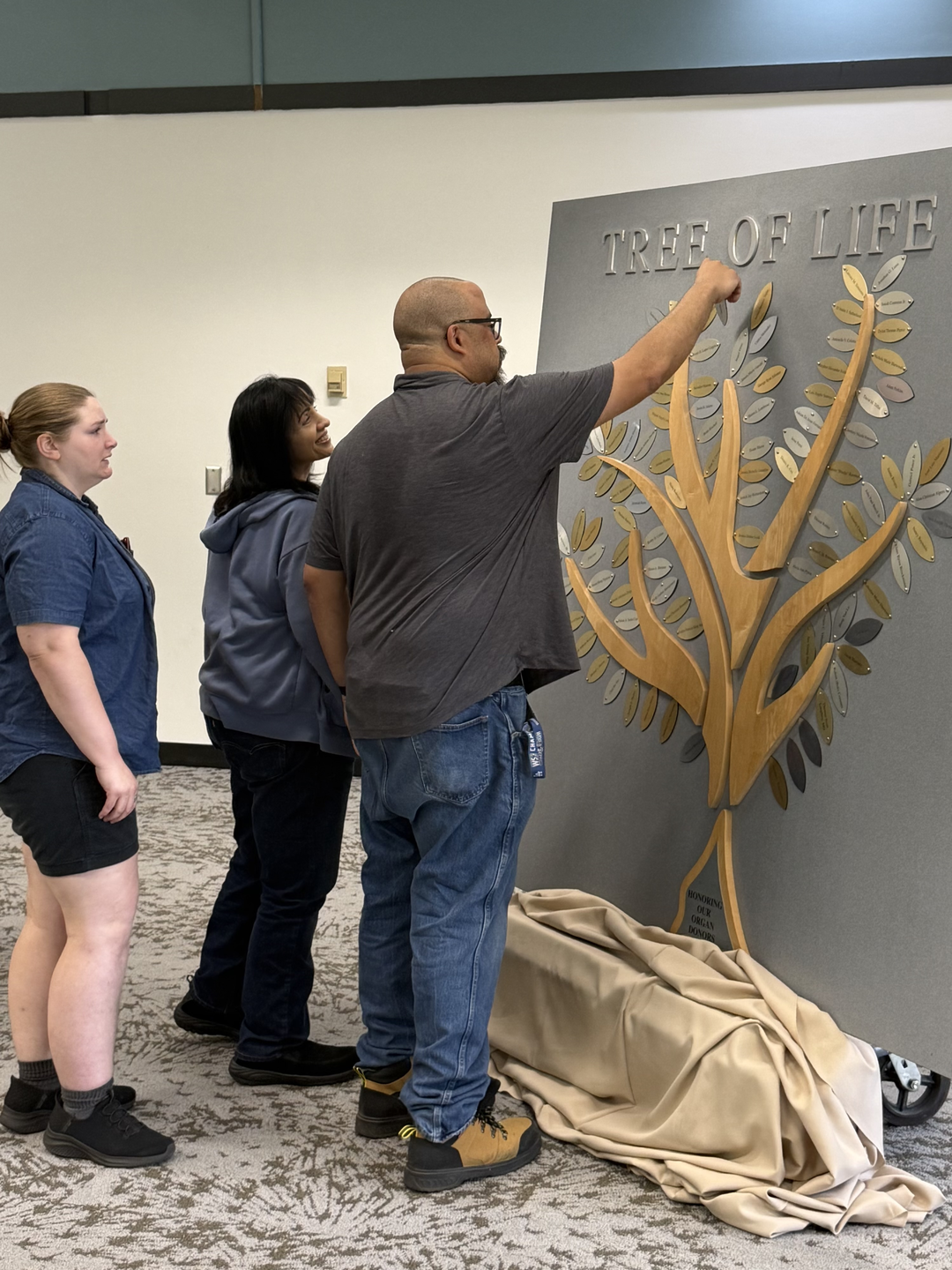 Family placing a leaf with a donors name on the tree of life .