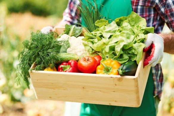 A person holds a wooden crate of produce, including peppers, tomatoes and lettuce.