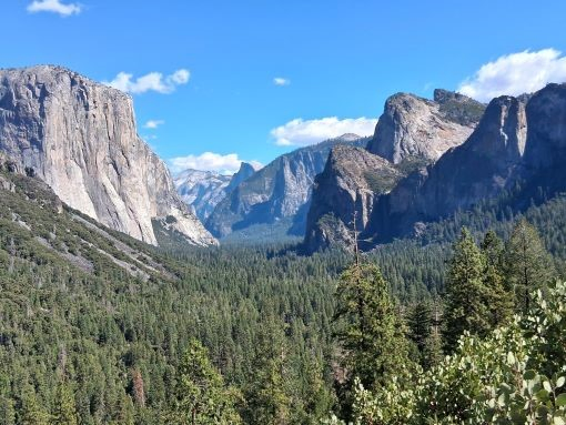 Yosemite Valley in Yosemite National Park, on a sunny day.
