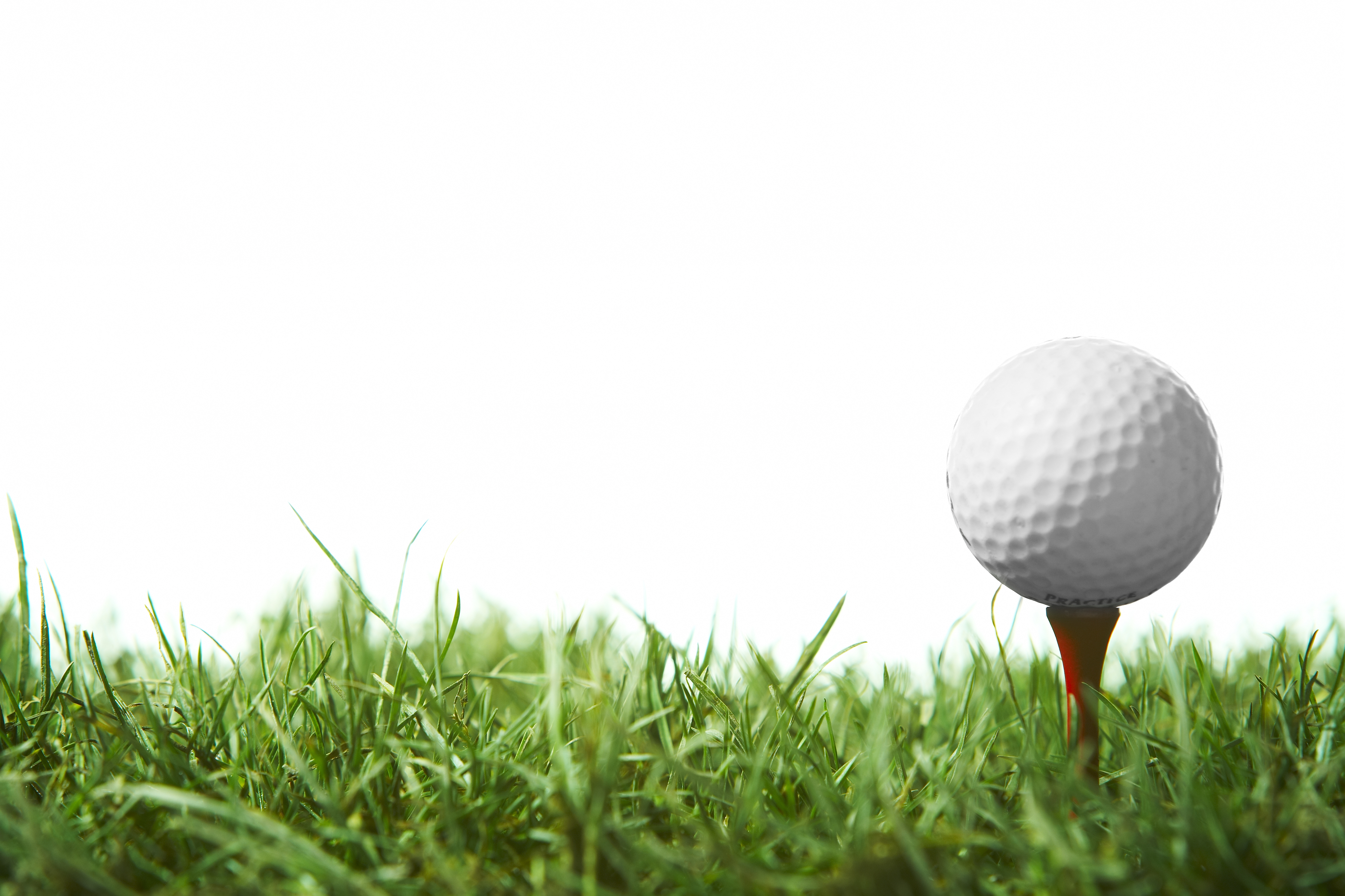 Golf ball on golf tee in green grass.
