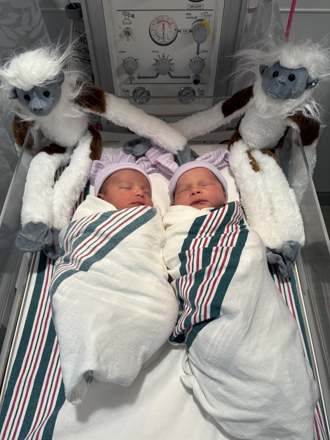 Twin newborn babies pose with cotton‑top tamarin twin plush toys, celebrating the birth of endangered tamarin twins at San Antonio Zoo.