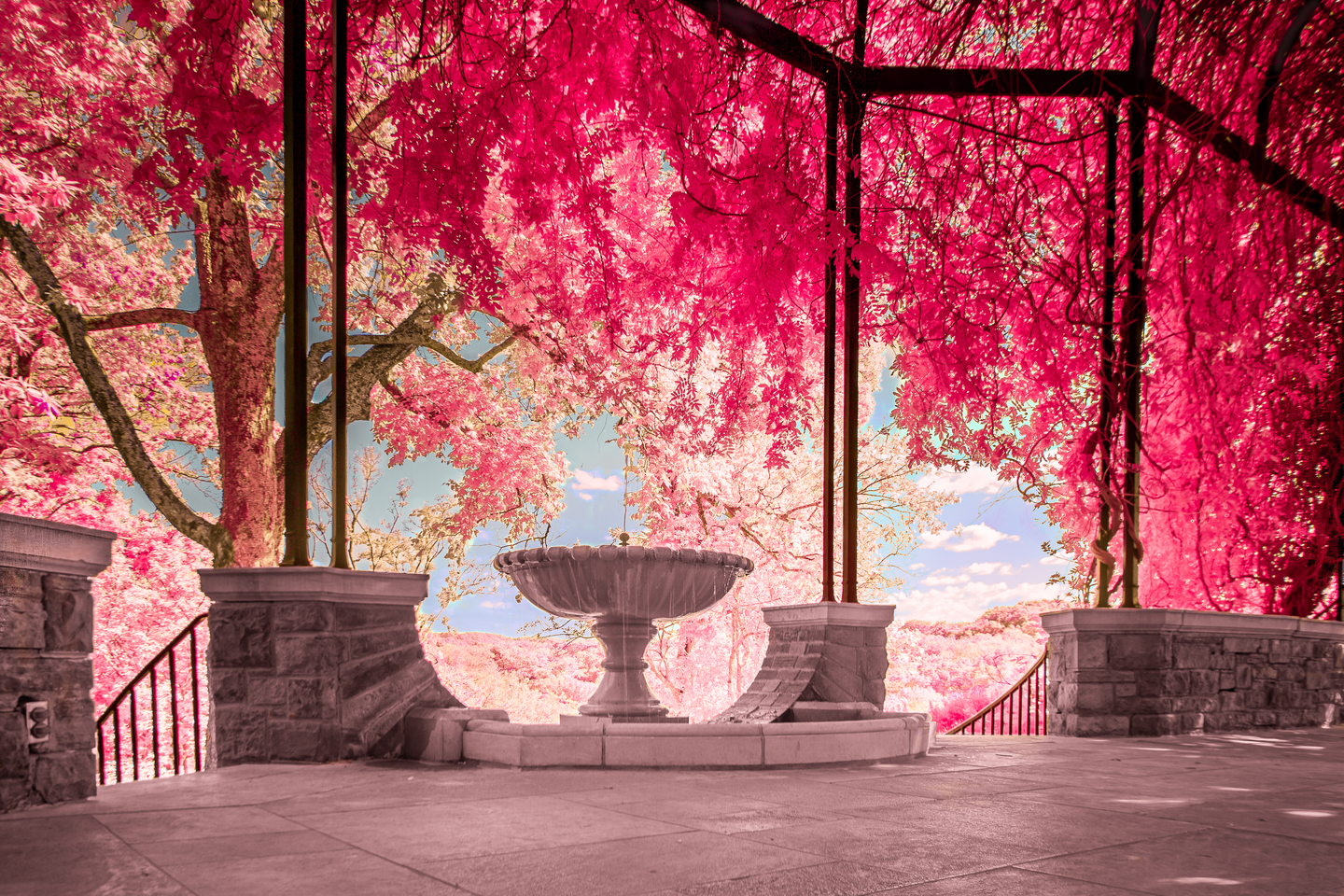 The fall leaves create a warm red hue that covers the water fountain.