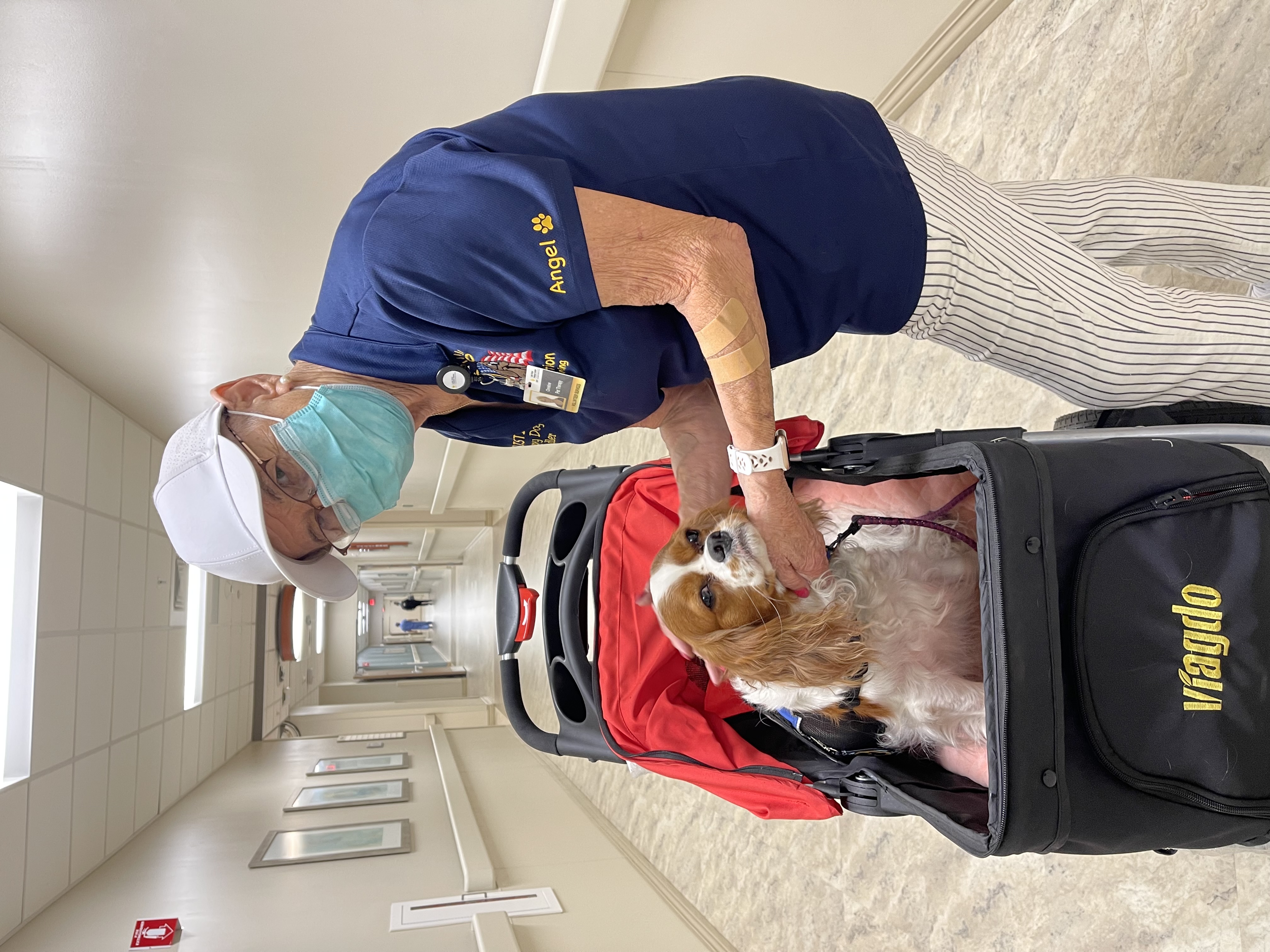 Christine after; Christine standing masked in a hospital hallway with a dog in a dog carrier