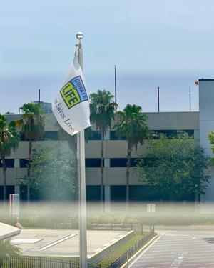 Donate Life flag seen flying outside through hospital window