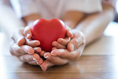 Adult pair of hands and child's pair of hands simultaneously holding heart shaped object. 