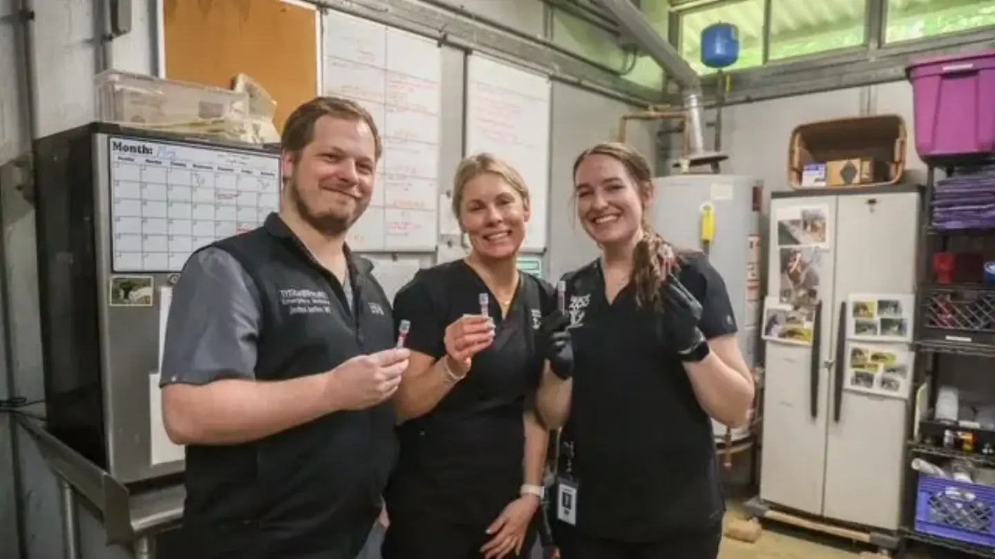 Nashville Zoo team holding blood samples from the anteaters