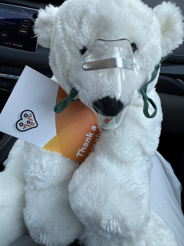 Photo of Mr. Polar, a stuffed animal