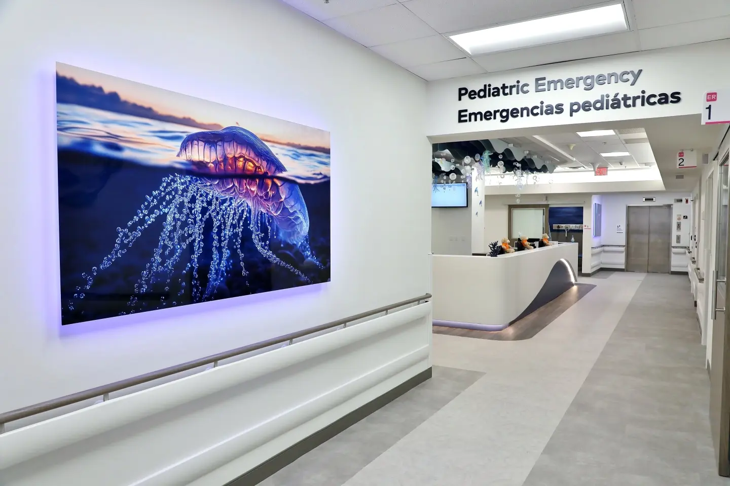 New entrance hallway to the Pediatric Emergency Care facility, a vibrant photograph of a jellyfish lines the wall tot he Nurses Station.