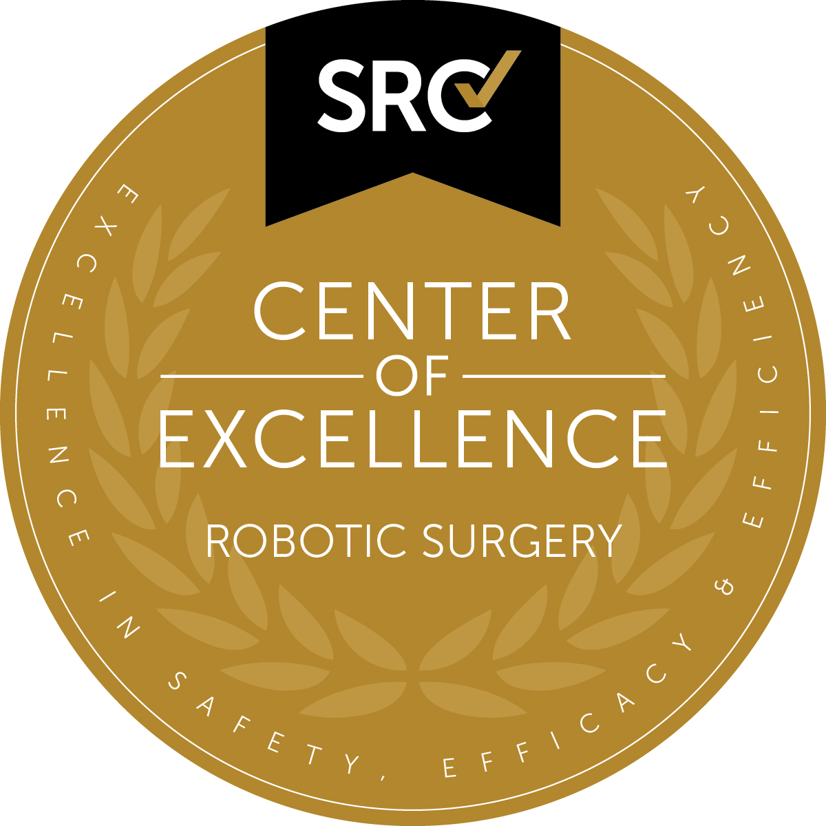 Robotic surgery award.