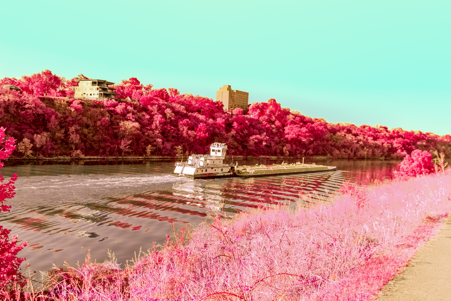 The fall leaves form a red  canopy around the river.