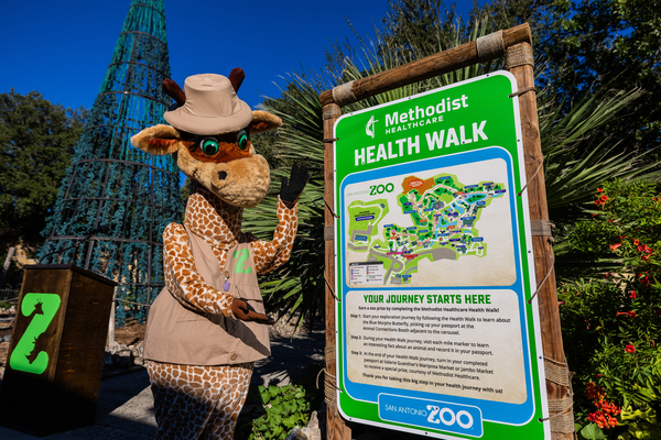 Savannah the Giraffe showing off the Health Walk guide.