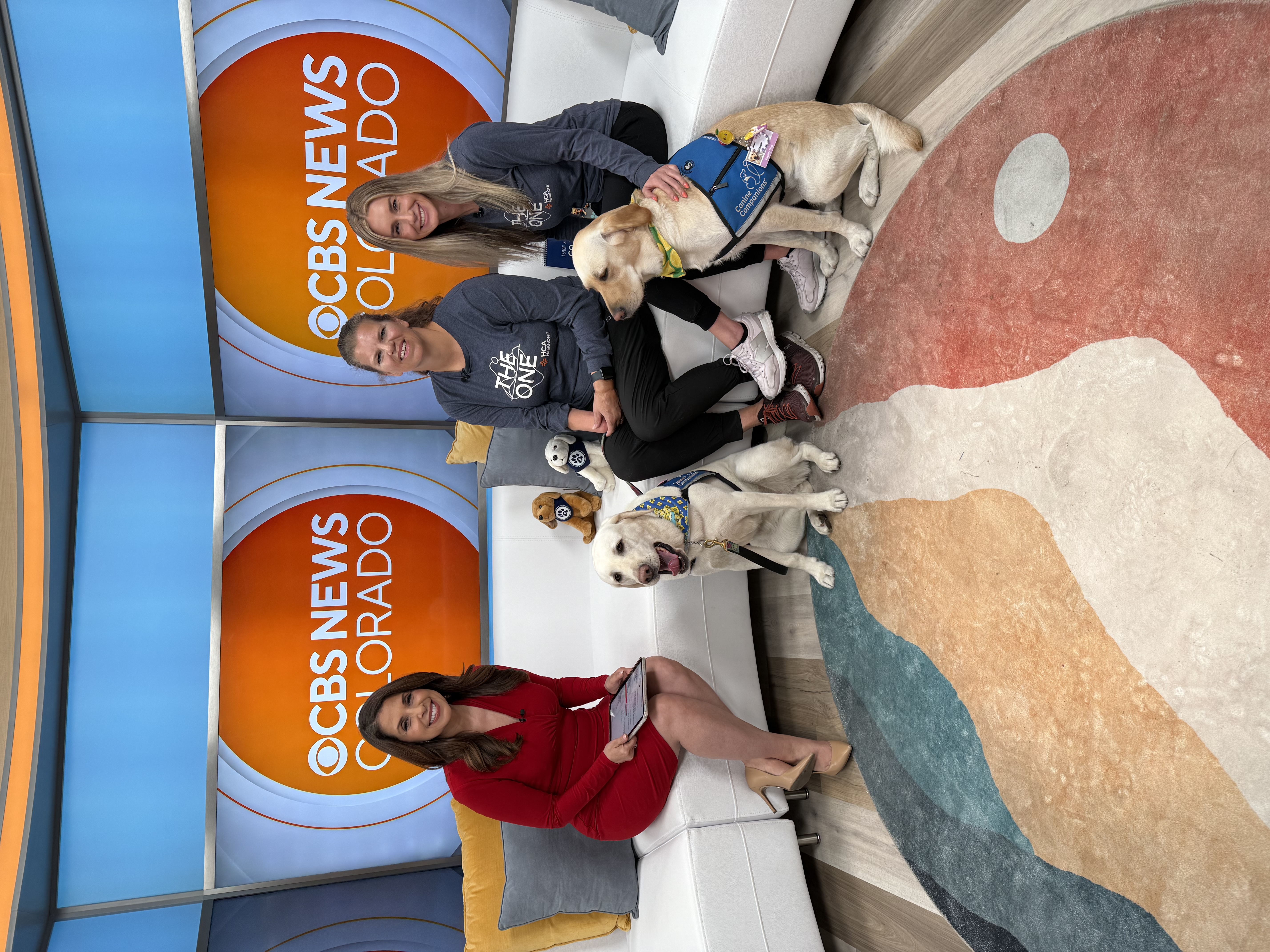 Posey and Lemon the therapy dogs appear on CBS Colorado new.