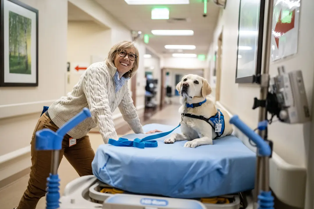 Canine Companion “Dogtor” Peppi at HCA HealthONE Rose in Denver, Nov. 8, 2024, with handler, Dr. Susan Ryan.