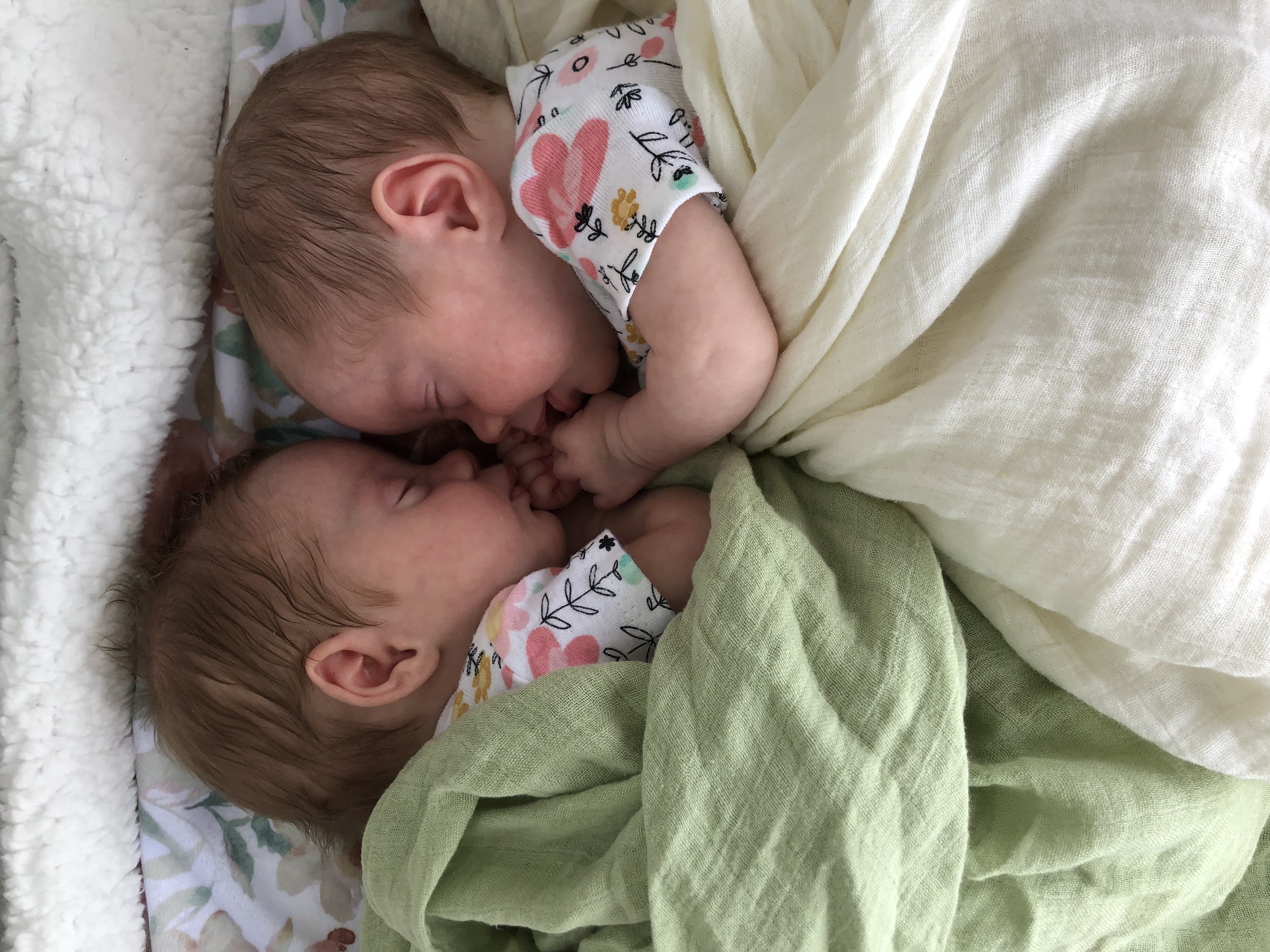 Twin babies swaddled in blanket.