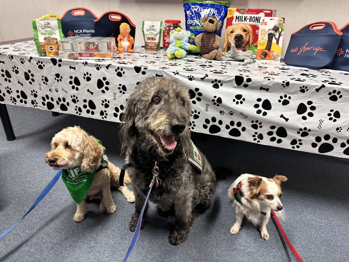 Three dogs sitting in front a table celebrating International Dog Day.