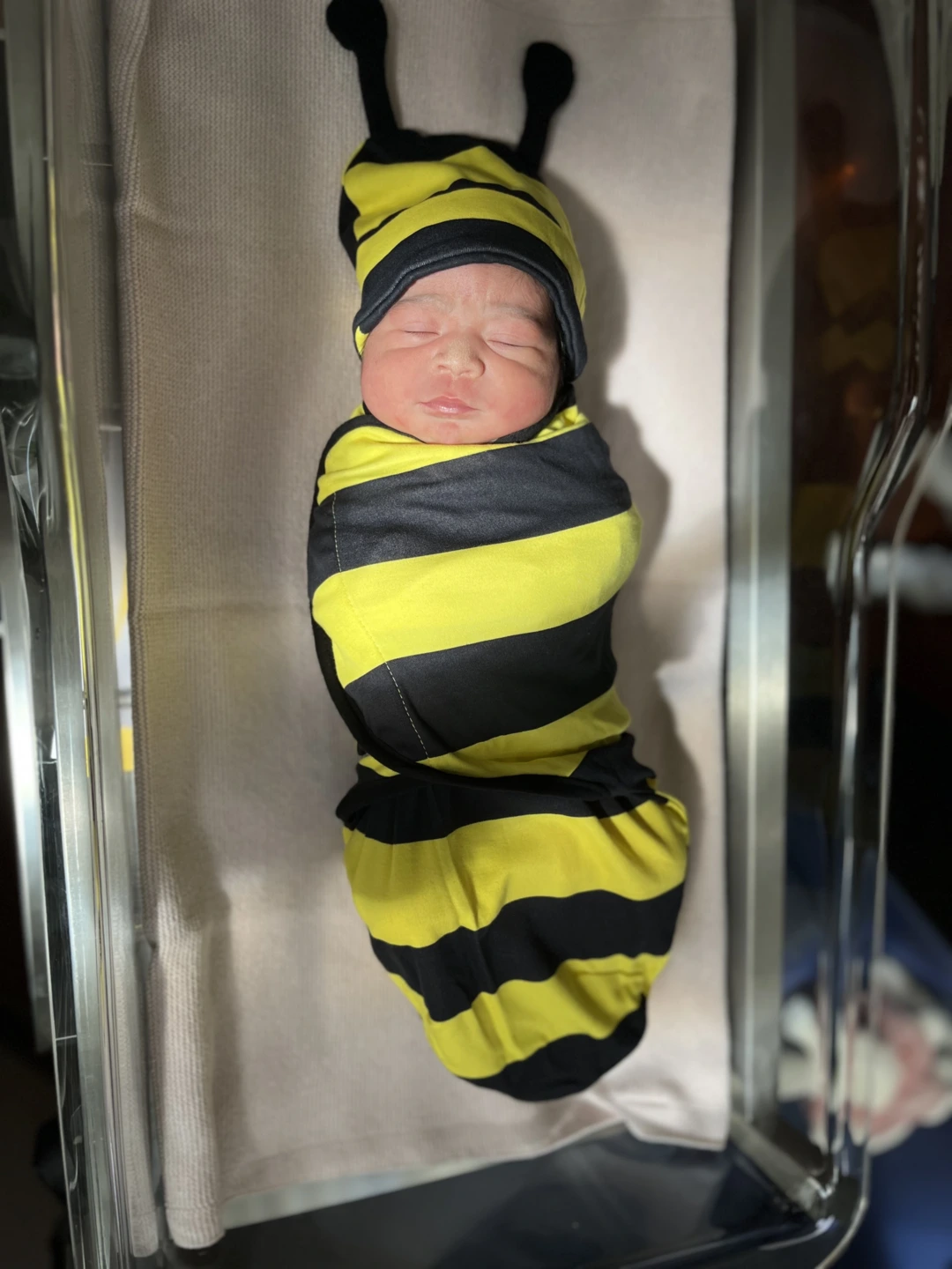 a baby dressed like a bumblebee