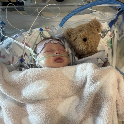 Newborn in a hospital incubator with breathing tubes, wrapped in a blanket, with a teddy bear beside them.