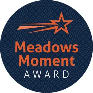 The Meadows Moment Award logo.